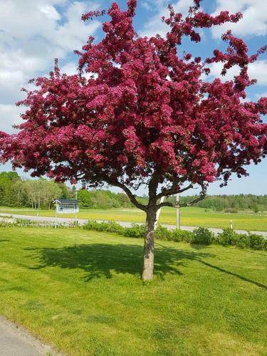 Albergue H�kn�s Vandrarhem