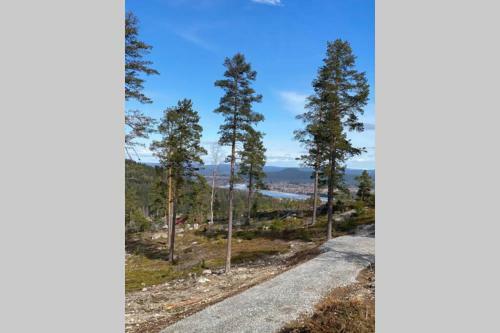 Modern Stuga N�ra Skidbacken