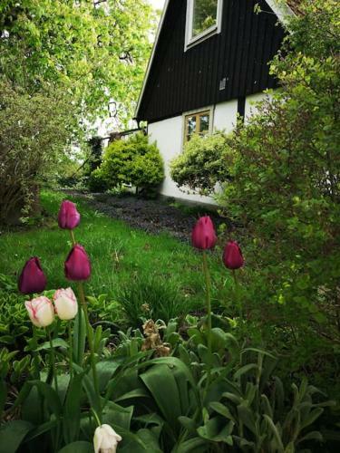 Genuint Och Fridfullt, N�ra Till Allt! Jonstorp