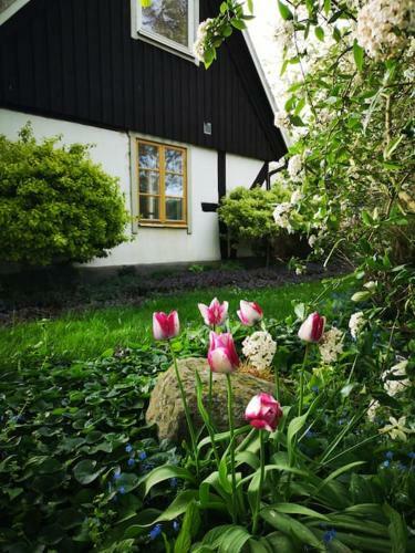 Genuint Och Fridfullt, N�ra Till Allt! Jonstorp
