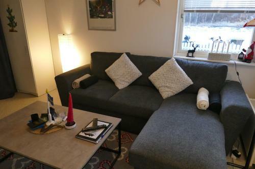 The Northern Light Apartment