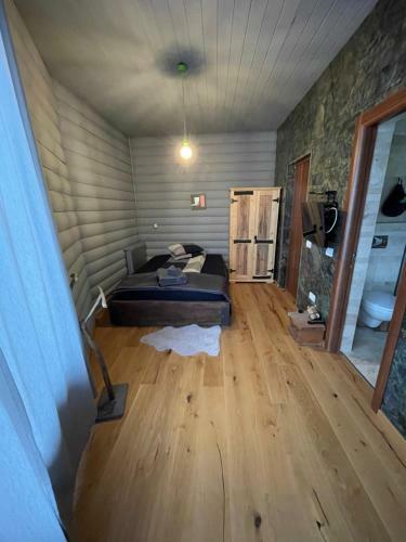 Villa Vila Costin Fundata