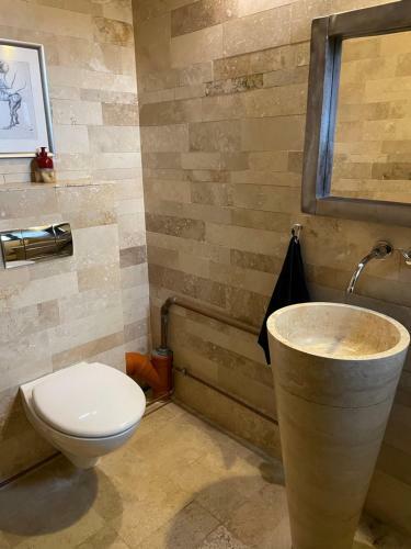 Villa Vila Costin Fundata