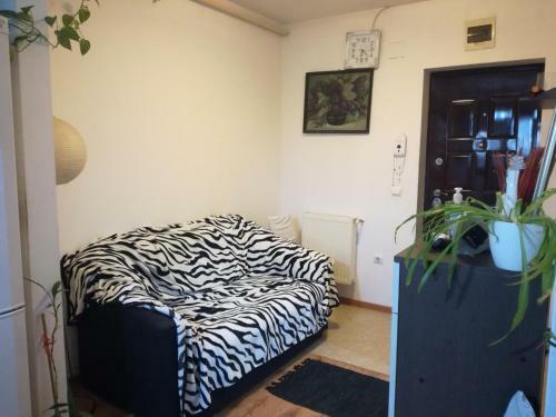 Apartament 2camere - Prima Casa