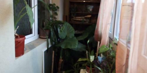 Apartament 2camere - Prima Casa