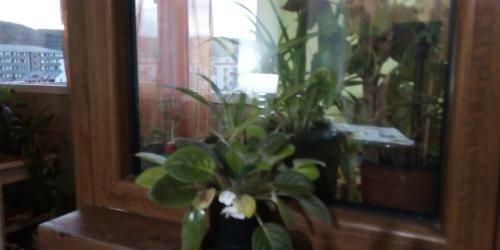 Apartament 2camere - Prima Casa