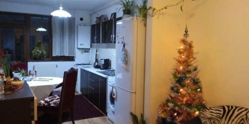 Apartament 2camere - Prima Casa