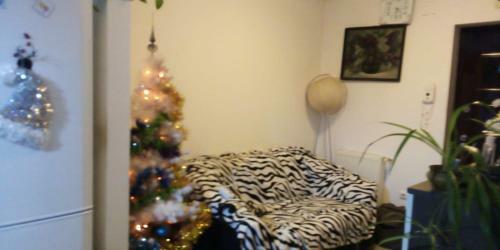 Apartament 2camere - Prima Casa