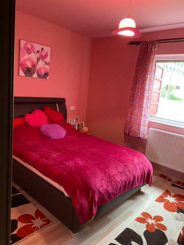 Apartament Untold Strada Avram Iancu, Nr. 418