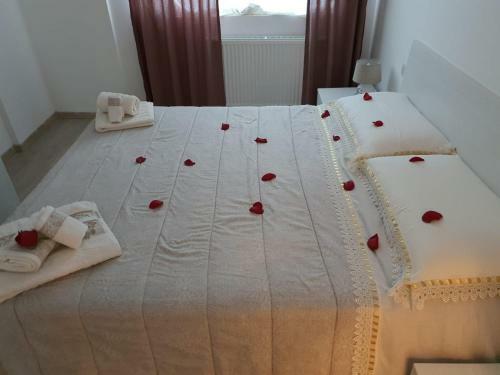Lar Apartment