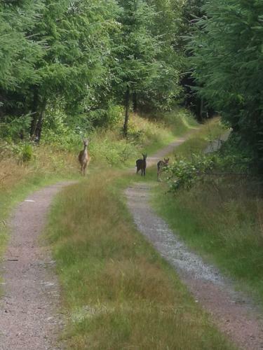 Lill Hagahus, S�der�sens Nationalpark