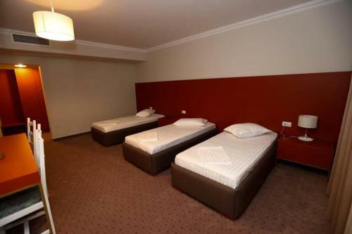 Hotel Casa Budisteanu 2