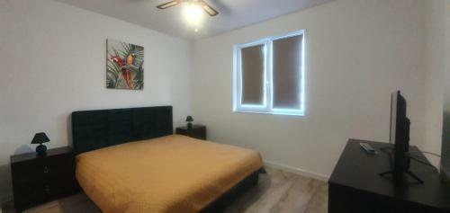 Viv Apartments 210