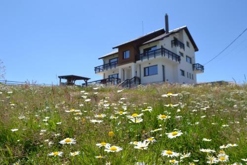 Hostal Panorama Adult Only