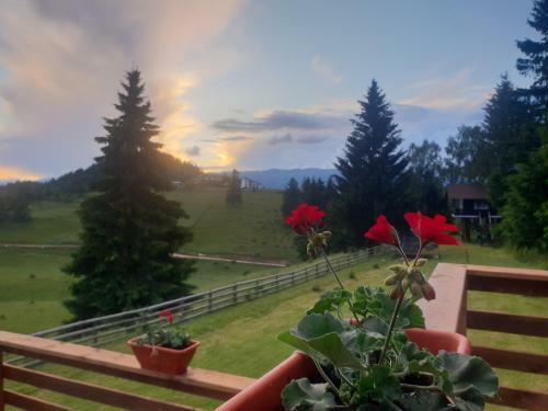 Bed & Breakfast La Vulturi