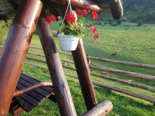 Bed & Breakfast La Vulturi