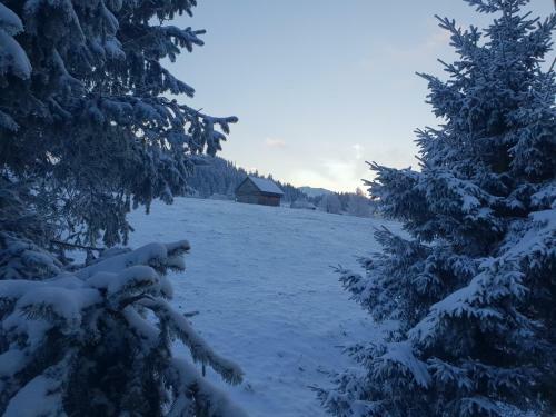 Bed & Breakfast La Vulturi