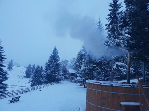 Bed & Breakfast La Vulturi