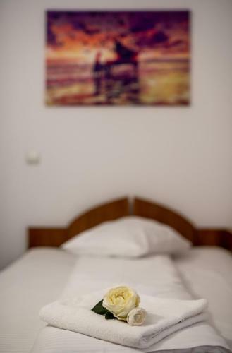 Hostal Escala Rooms