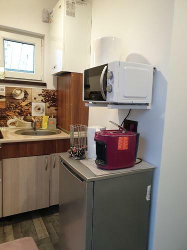 Apartamento Garsoniera Maria