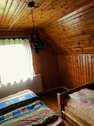 Mountain Cabin Panorama
