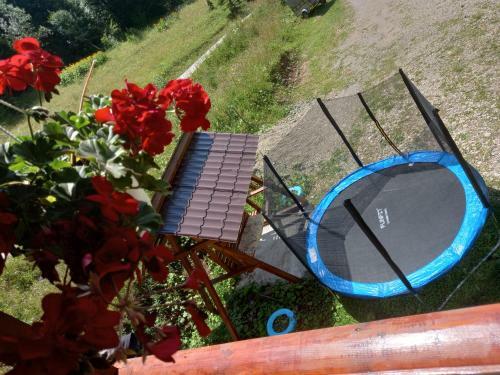 Cabana S�nziana