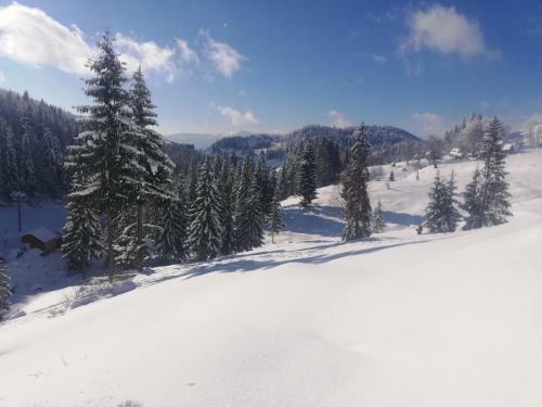 Cabana S�nziana