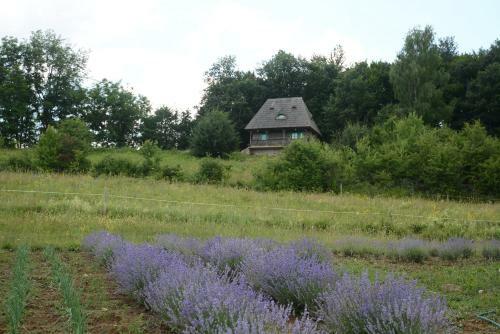 Agroturismo Casa Glod