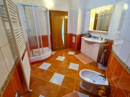 Villa Vila Sanne Bra?ov H?lchiu