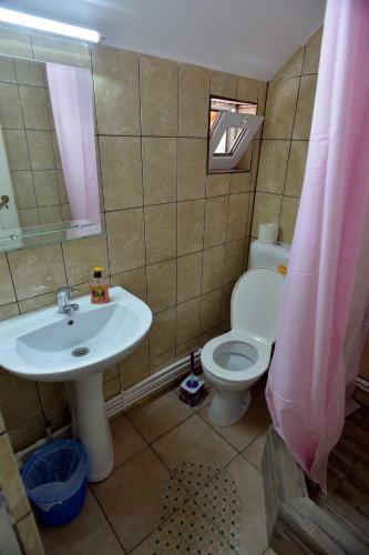 Motel Casa De Vacanta Neagu