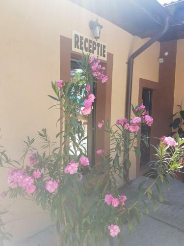 Hostal Casa Stefan Galati