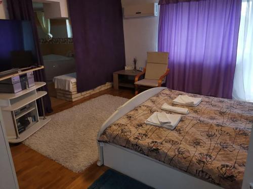 Hostal Stars Livezeni