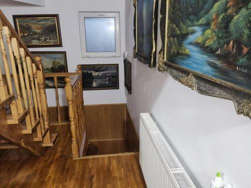 Hostal Stars Livezeni