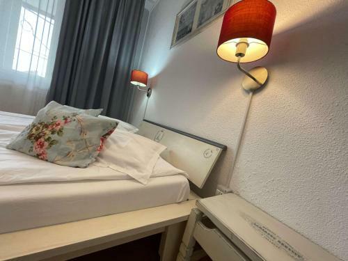 Hostal Pensiunea Vila Silva II
