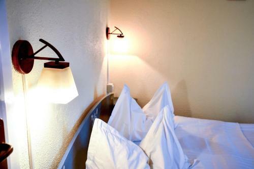 Hostal Pensiunea Vila Silva II