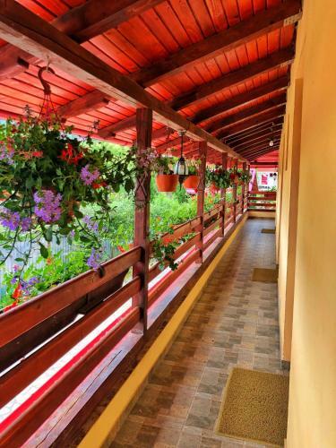 Hostal Casa Boico