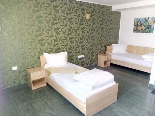 Hostal Camere De Inchiriat Carpati