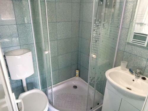 Hostal Camere De Inchiriat Carpati