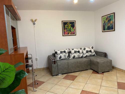 Apartament Modern L�ng? Castelul Corvinilor