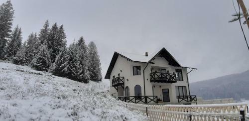 Bucovina Sky View