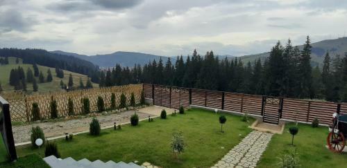 Bucovina Sky View