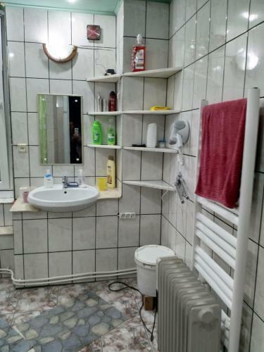 Apartament La Curte Mariana