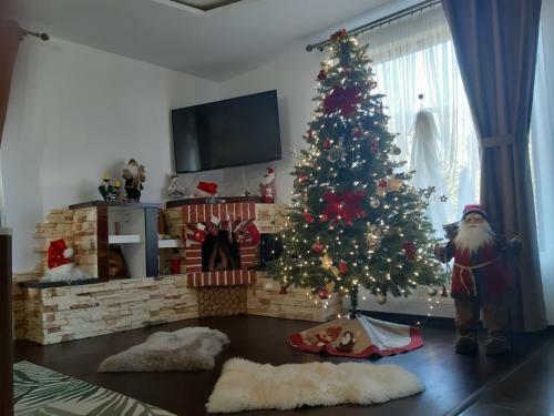 Casa De Vacanta Sabrina