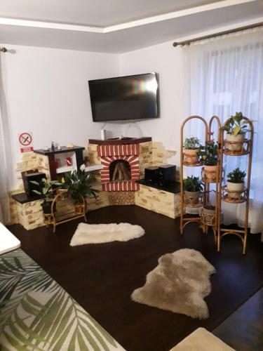 Casa De Vacanta Sabrina