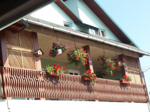 Apartamento Casa In Bucovina