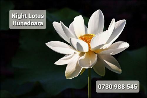 Apartamento Night Lotus