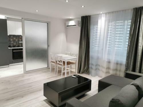 Apartament Ultra Central Hd