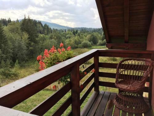 Hostal Pensiunea Gentiana