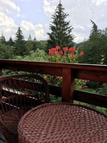Hostal Pensiunea Gentiana