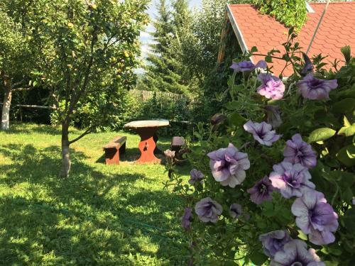 Hostal Pensiunea Gentiana